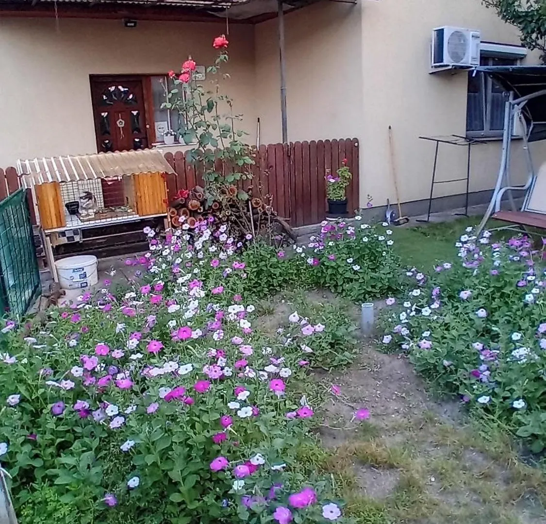Apartment Spacious House In The Outskirts Of Budapest Hungary